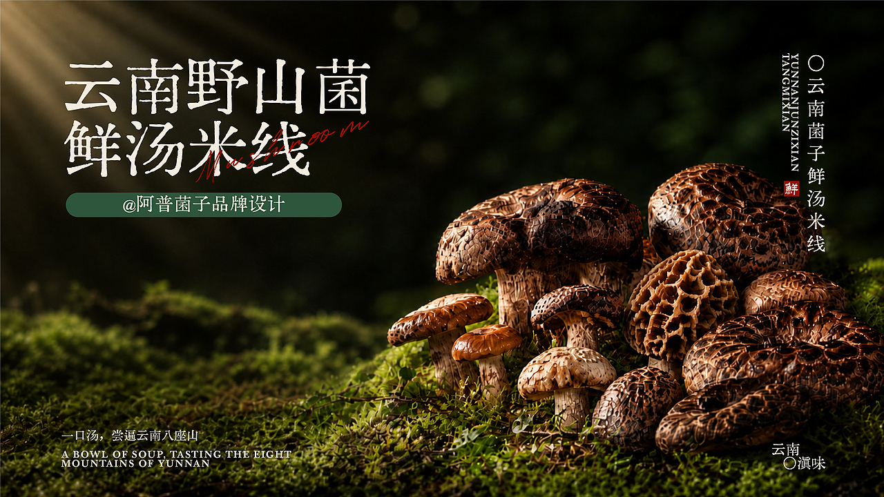 阿普菌子｜云南野山菌米线品牌设计（图ZNDA2NTM3NzI0） - 品牌 - 站酷设计师波妞caitlin原创素材 - 站酷ZCOOL