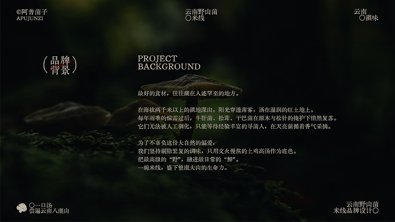 阿普菌子｜云南野山菌米线品牌设计（图ZNDA2NTM3Nzcy） - 品牌 - 站酷设计师波妞caitlin原创素材 - 站酷ZCOOL