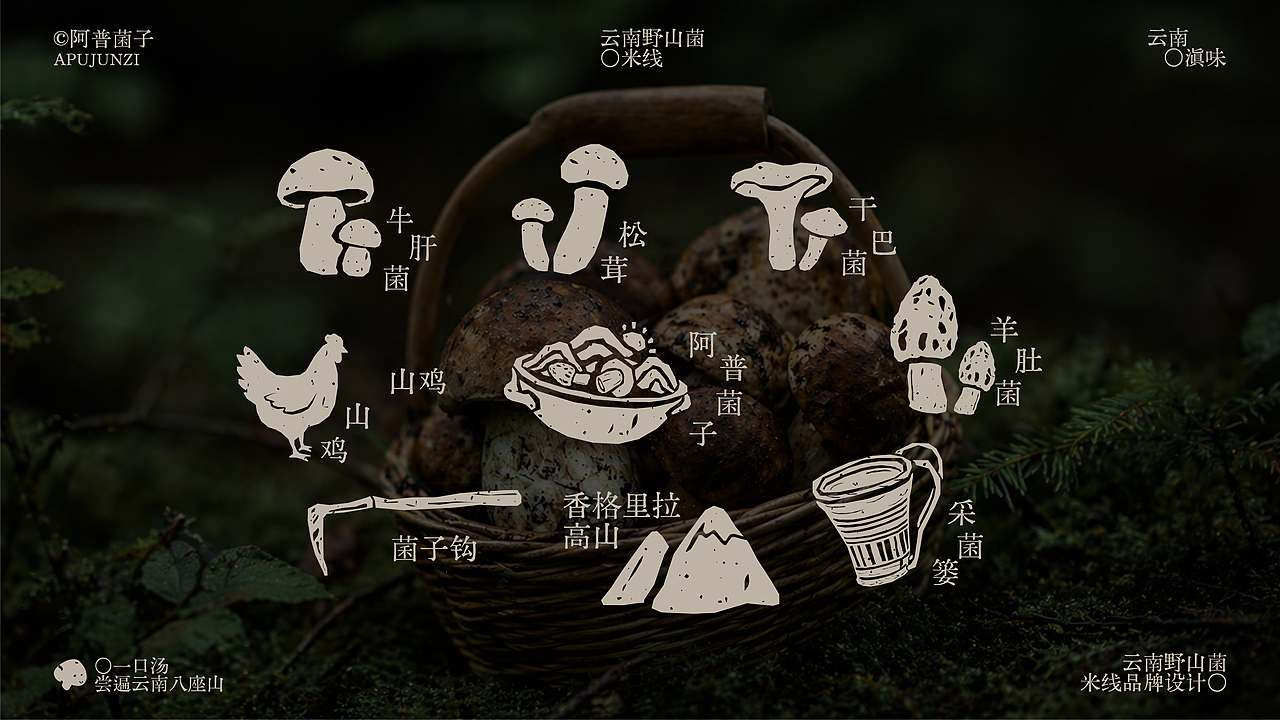 阿普菌子|云南野山菌米线品牌设计(图ZNDA2NTM3ODAw) - 品牌 - 站酷设计师波妞caitlin原创素材 - 站酷ZCOOL