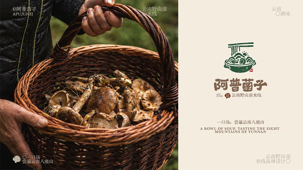 阿普菌子｜云南野山菌米线品牌设计（图ZNDA2NTM3OTU2） - 品牌 - 站酷设计师波妞caitlin原创素材 - 站酷ZCOOL