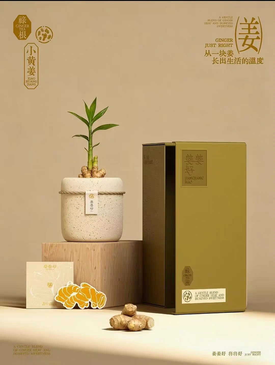 VI设计|包装海报（图ZNDA2NTQyNzgw） - 品牌 - 站酷设计师Janery_00原创素材 - 站酷ZCOOL