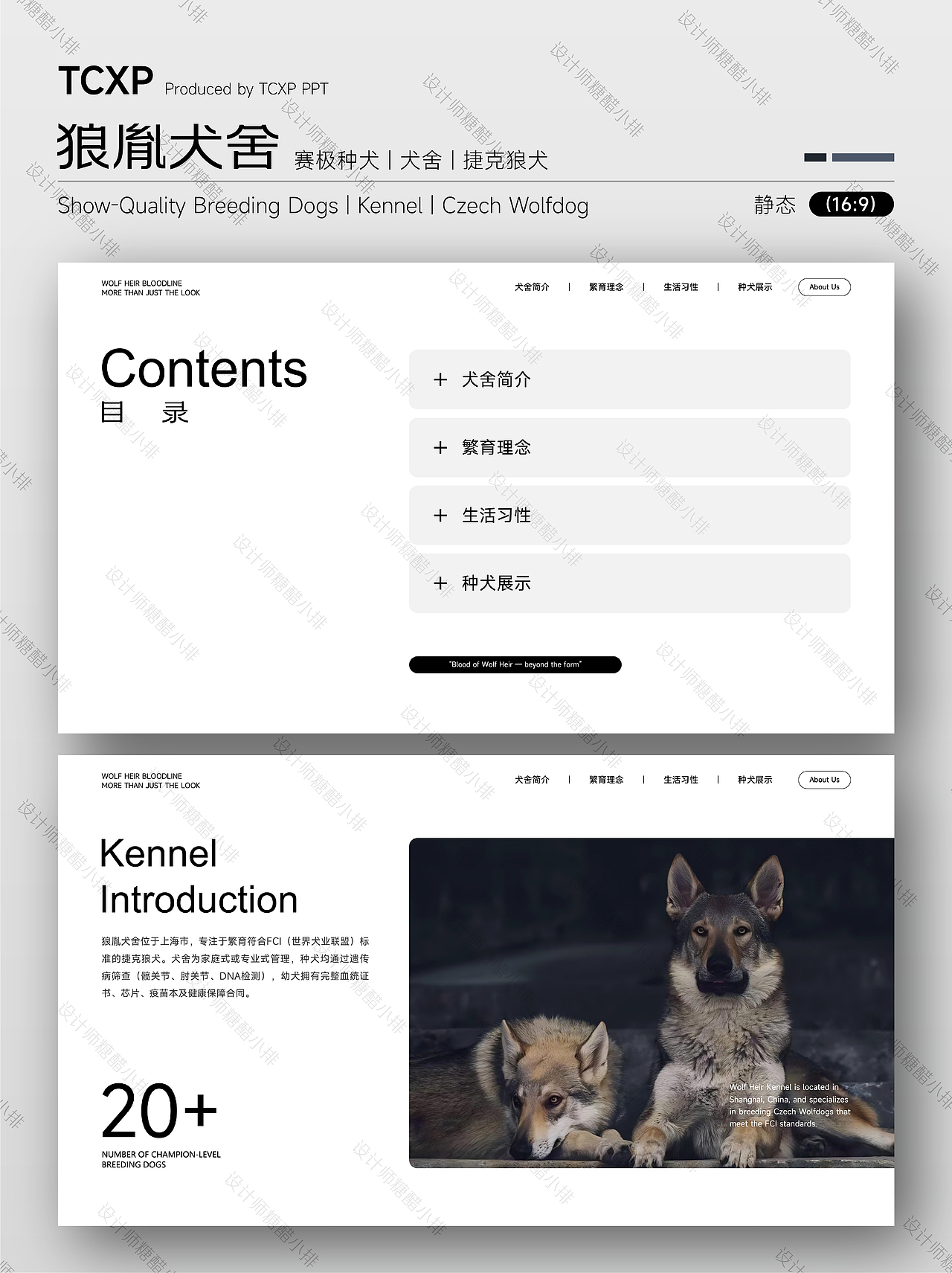 狼胤犬舍PPT-承狼魂之魄，铸犬中传奇（图ZNDA2NTc3MTky） - PPT/Keynote - 站酷设计师设计师糖醋小排原创素材 - 站酷ZCOOL