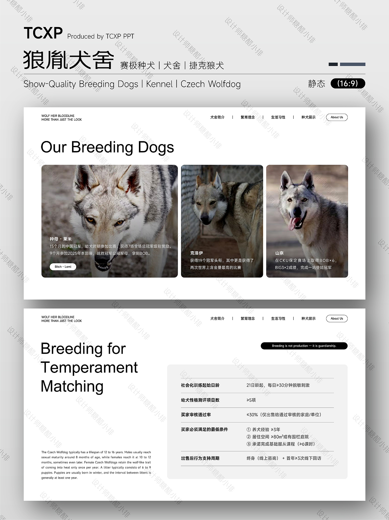 狼胤犬舍PPT-承狼魂之魄，铸犬中传奇（图ZNDA2NTc3MjAw） - PPT/Keynote - 站酷设计师设计师糖醋小排原创素材 - 站酷ZCOOL