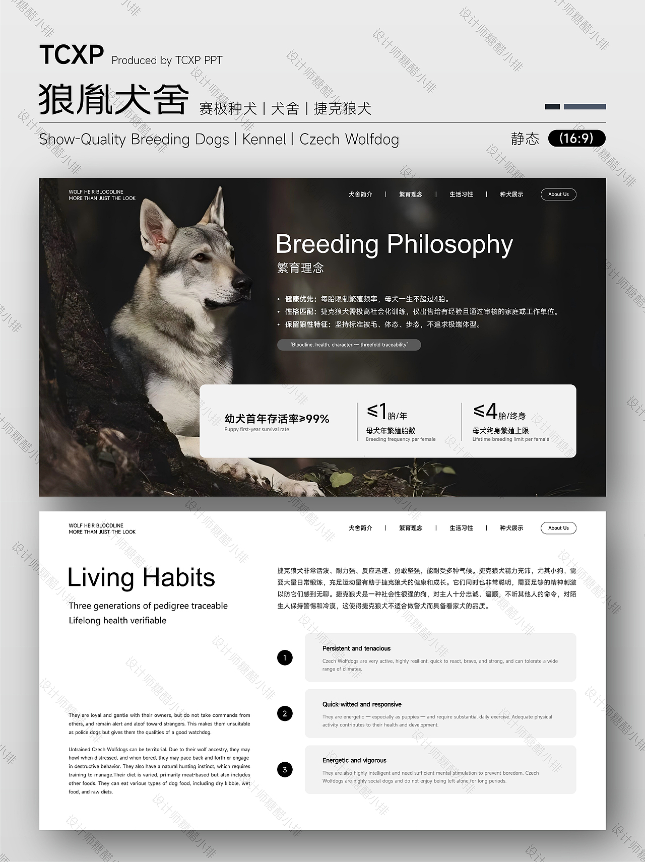 狼胤犬舍PPT-承狼魂之魄，铸犬中传奇（图ZNDA2NTc3MTk2） - PPT/Keynote - 站酷设计师设计师糖醋小排原创素材 - 站酷ZCOOL