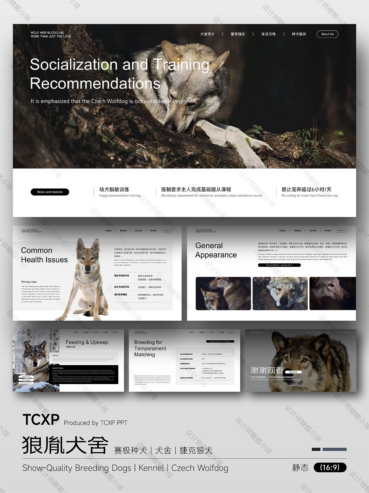 狼胤犬舍PPT-承狼魂之魄，铸犬中传奇（图ZNDA2NTc3MTg4） - PPT/Keynote - 站酷设计师设计师糖醋小排原创素材 - 站酷ZCOOL
