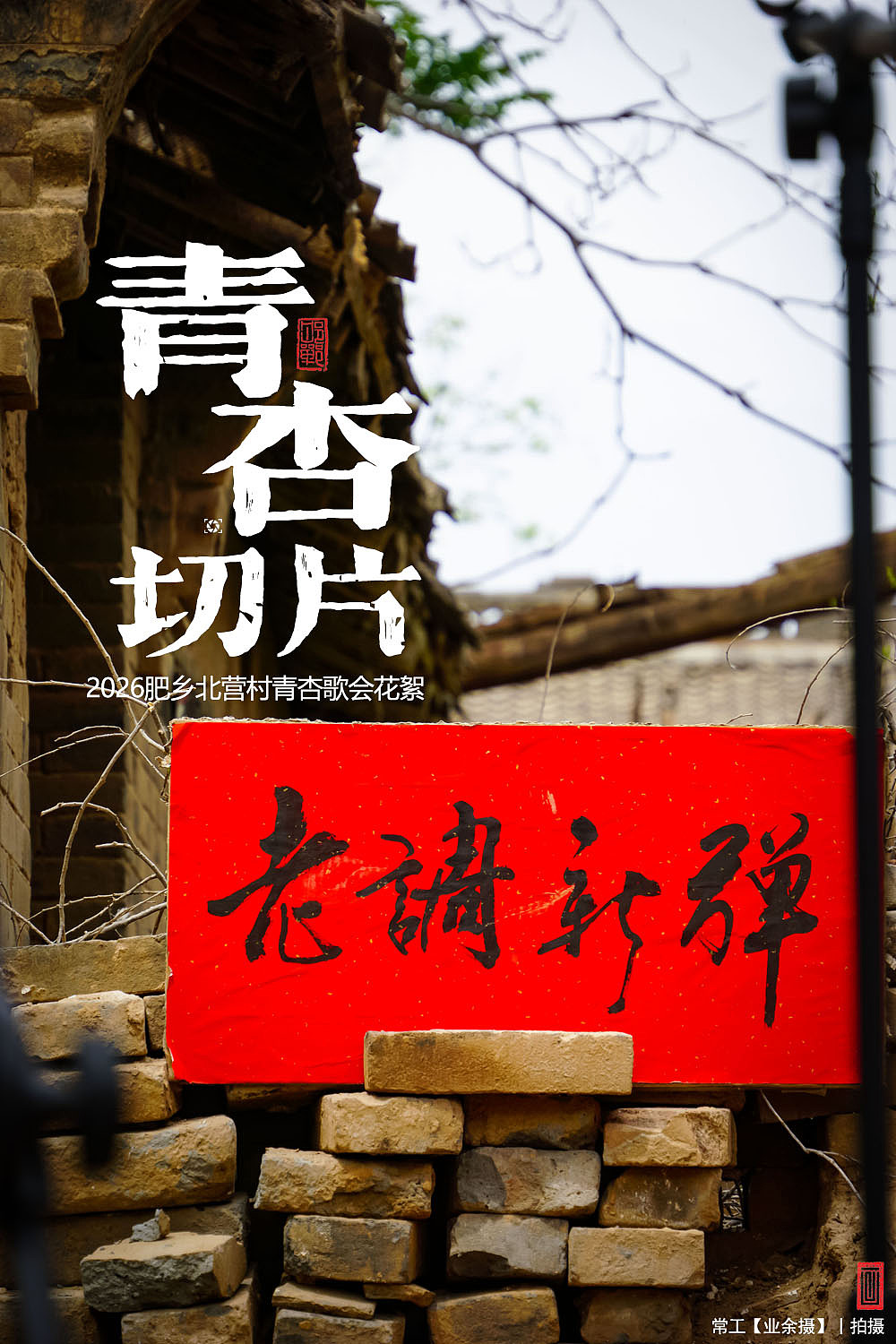 青杏切片（图ZNDA2NTk5Mzk2） - 人文/纪实摄影 - 站酷设计师画设计原创素材 - 站酷ZCOOL