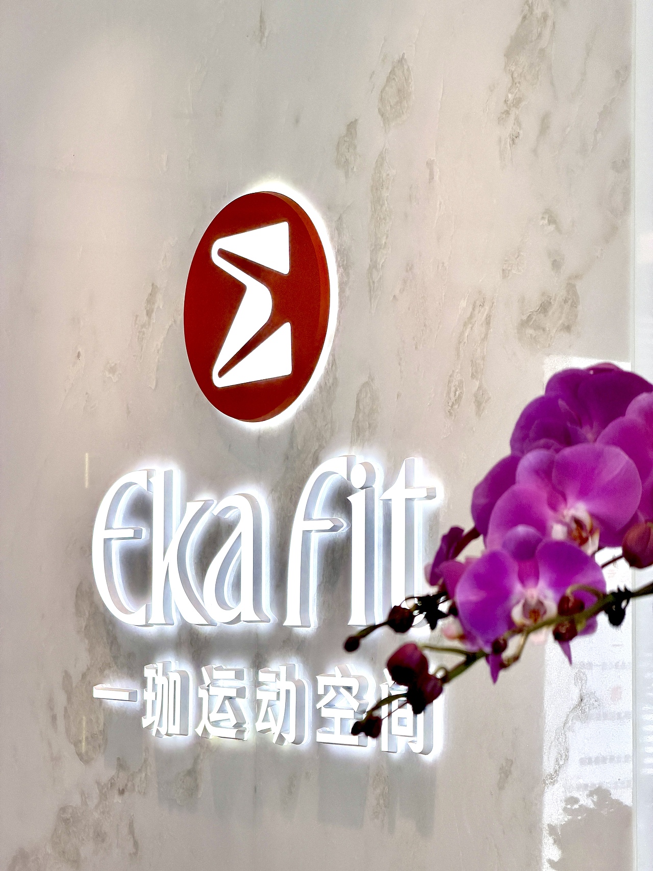 一珈EkaFit运动空间品牌设计（图ZNDA2NTk5Njc2） - 品牌 - 站酷设计师勇气品牌原创素材 - 站酷ZCOOL