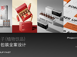 醒因子品牌全案/LOGO/包装