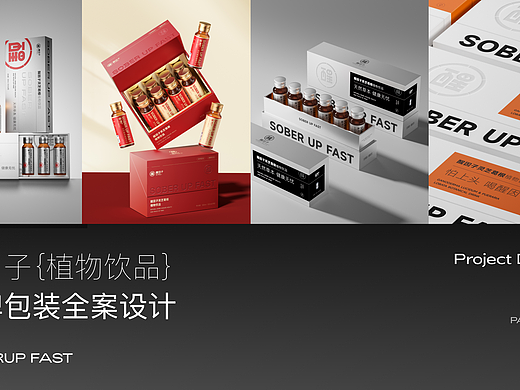 醒因子品牌全案/LOGO/包装