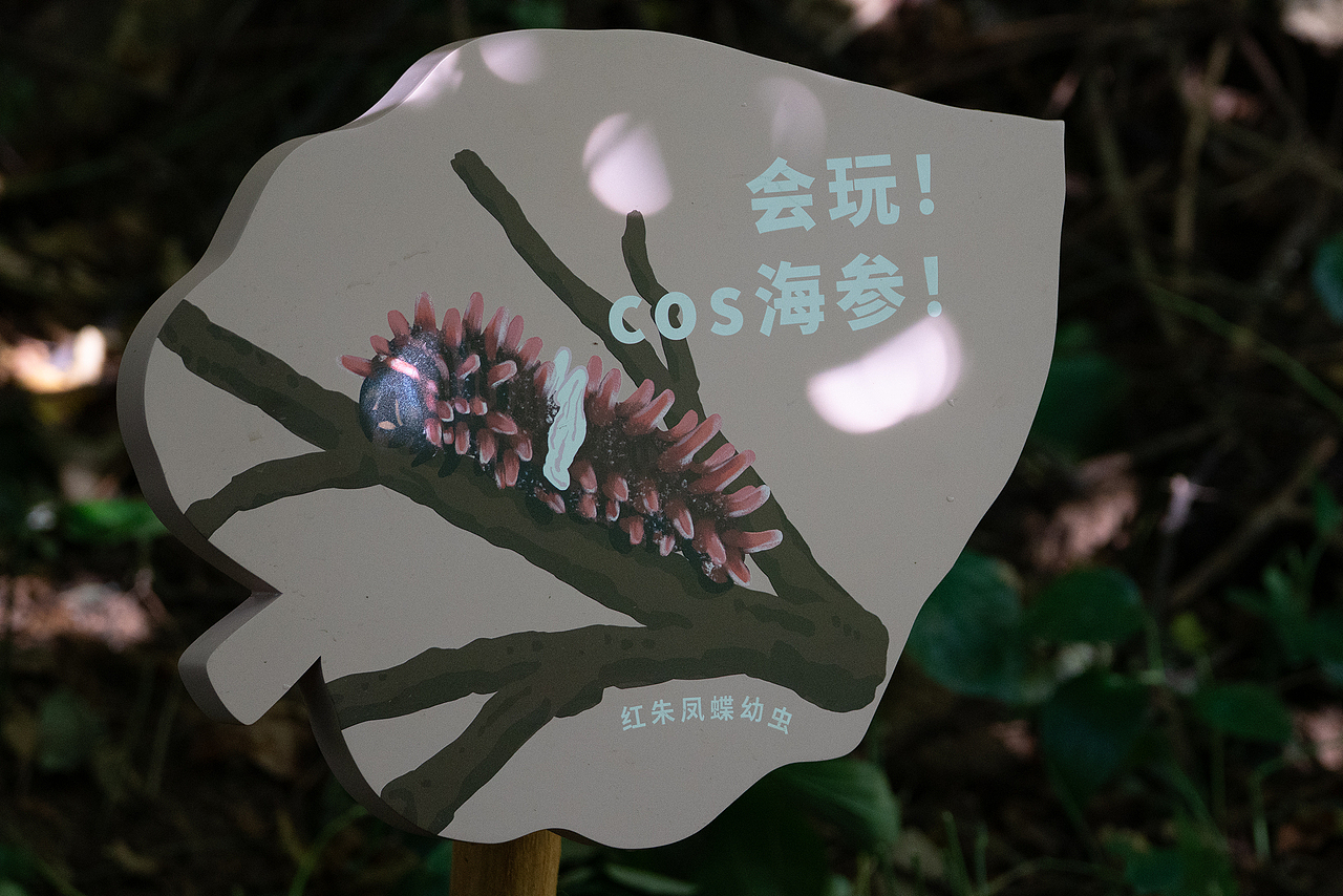 深圳市梅林公园解说牌及导视设计（图ZNDA2NjY0NDg4） - 宣传物料 - 站酷设计师进退设计原创素材 - 站酷ZCOOL