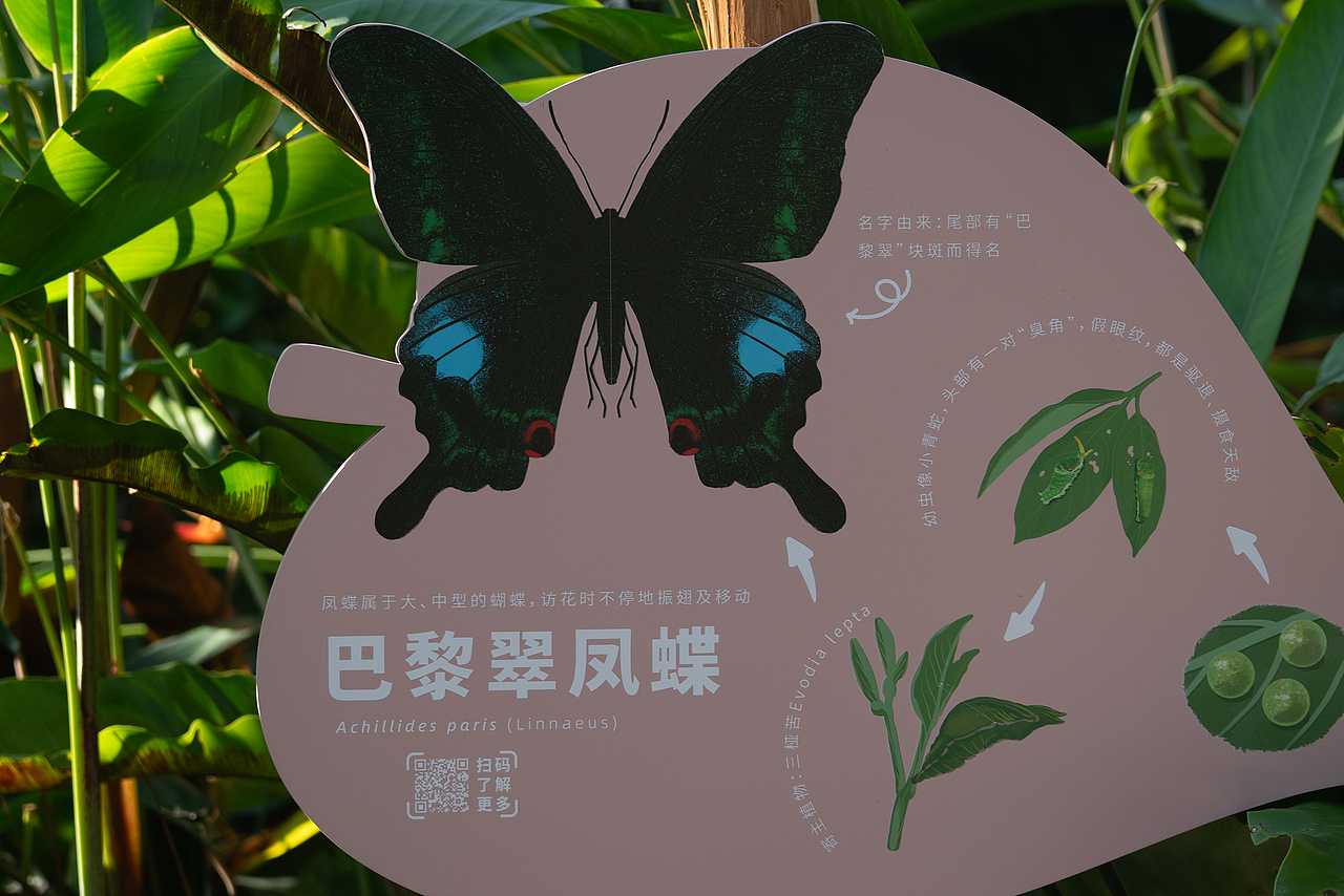 深圳市梅林公园解说牌及导视设计（图ZNDA2NjY0NTM2） - 宣传物料 - 站酷设计师进退设计原创素材 - 站酷ZCOOL