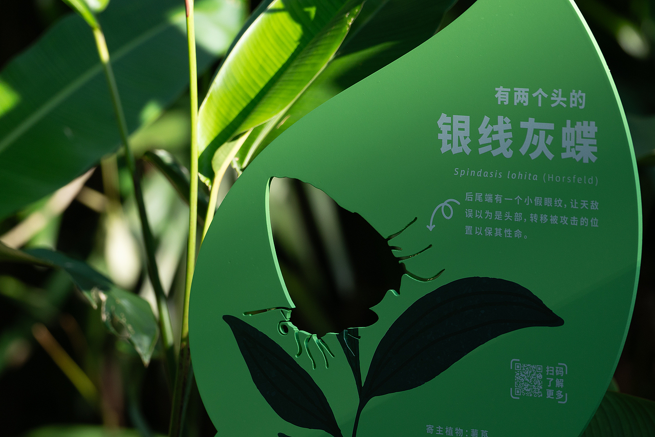 深圳市梅林公园解说牌及导视设计（图ZNDA2NjY0NTk2） - 宣传物料 - 站酷设计师进退设计原创素材 - 站酷ZCOOL