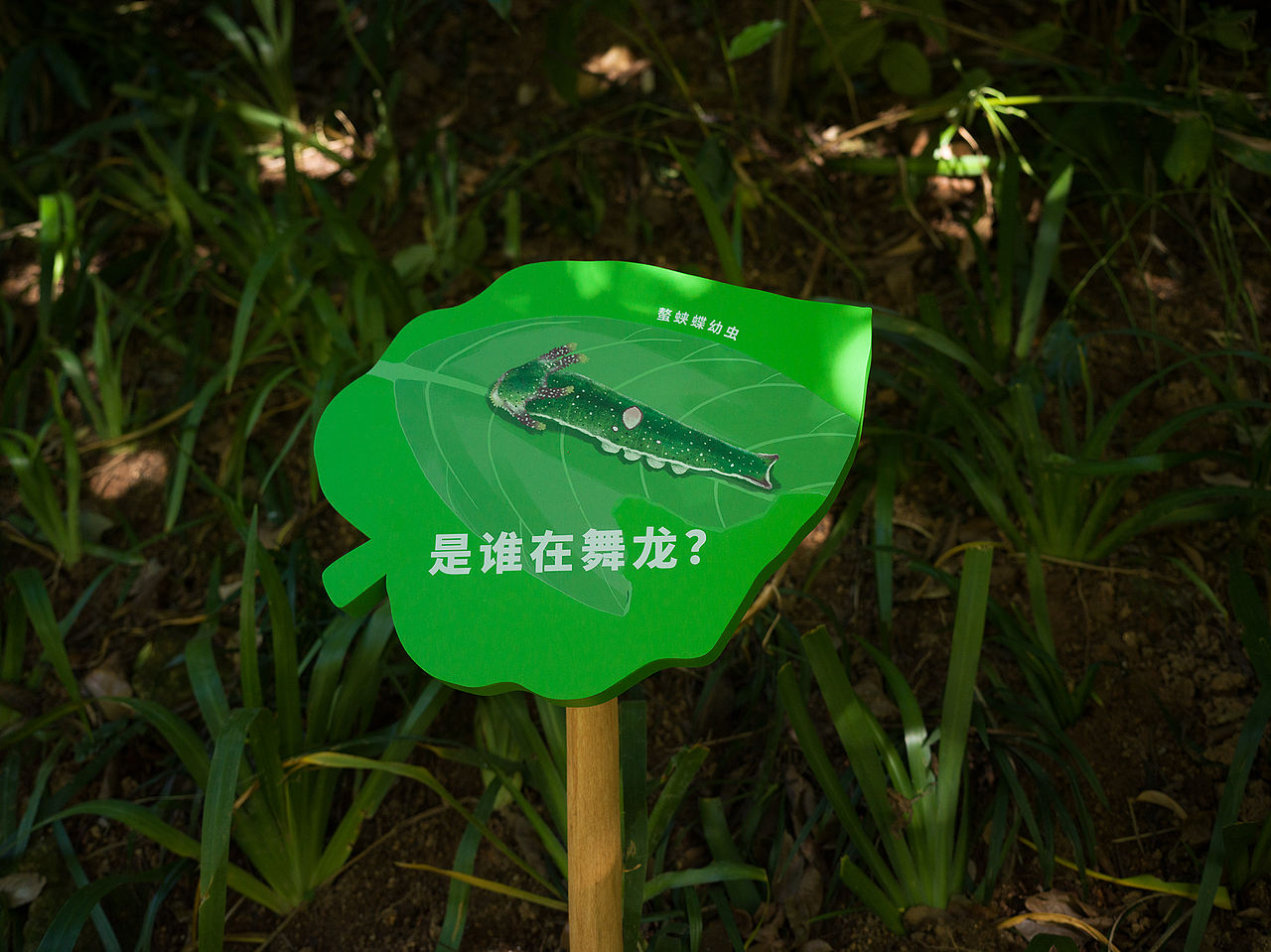 深圳市梅林公园解说牌及导视设计（图ZNDA2NjY0NjM2） - 宣传物料 - 站酷设计师进退设计原创素材 - 站酷ZCOOL