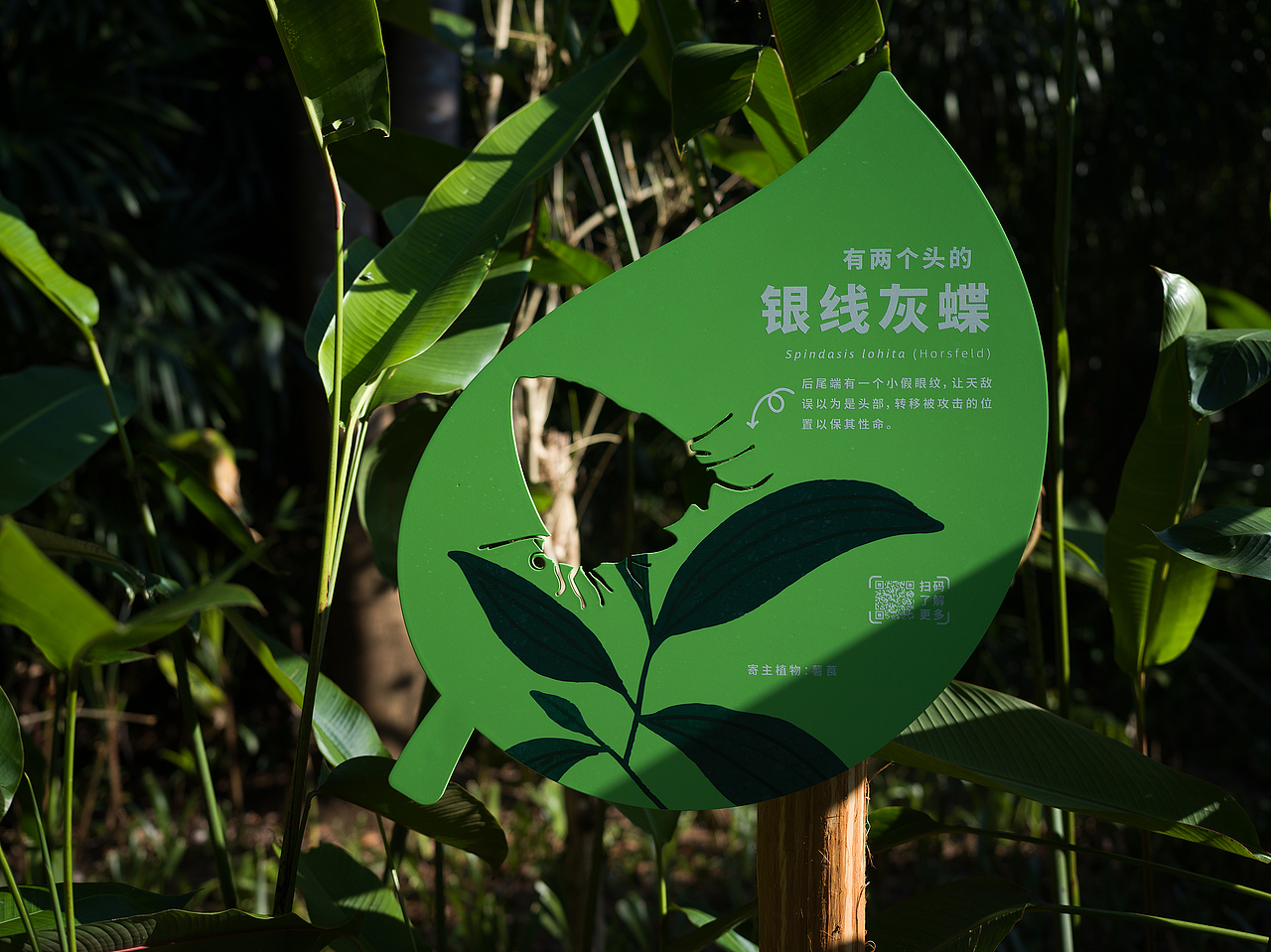 深圳市梅林公园解说牌及导视设计（图ZNDA2NjY1MDg4） - 宣传物料 - 站酷设计师进退设计原创素材 - 站酷ZCOOL