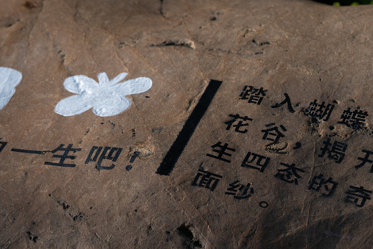 深圳市梅林公园解说牌及导视设计（图ZNDA2NjY0OTg0） - 宣传物料 - 站酷设计师进退设计原创素材 - 站酷ZCOOL