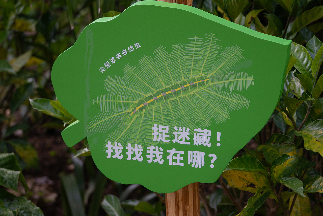 深圳市梅林公园解说牌及导视设计（图ZNDA2NjY1MjY0） - 宣传物料 - 站酷设计师进退设计原创素材 - 站酷ZCOOL