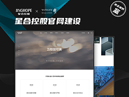 【上海雍熙YONGSY】集团网站建设：星合控股