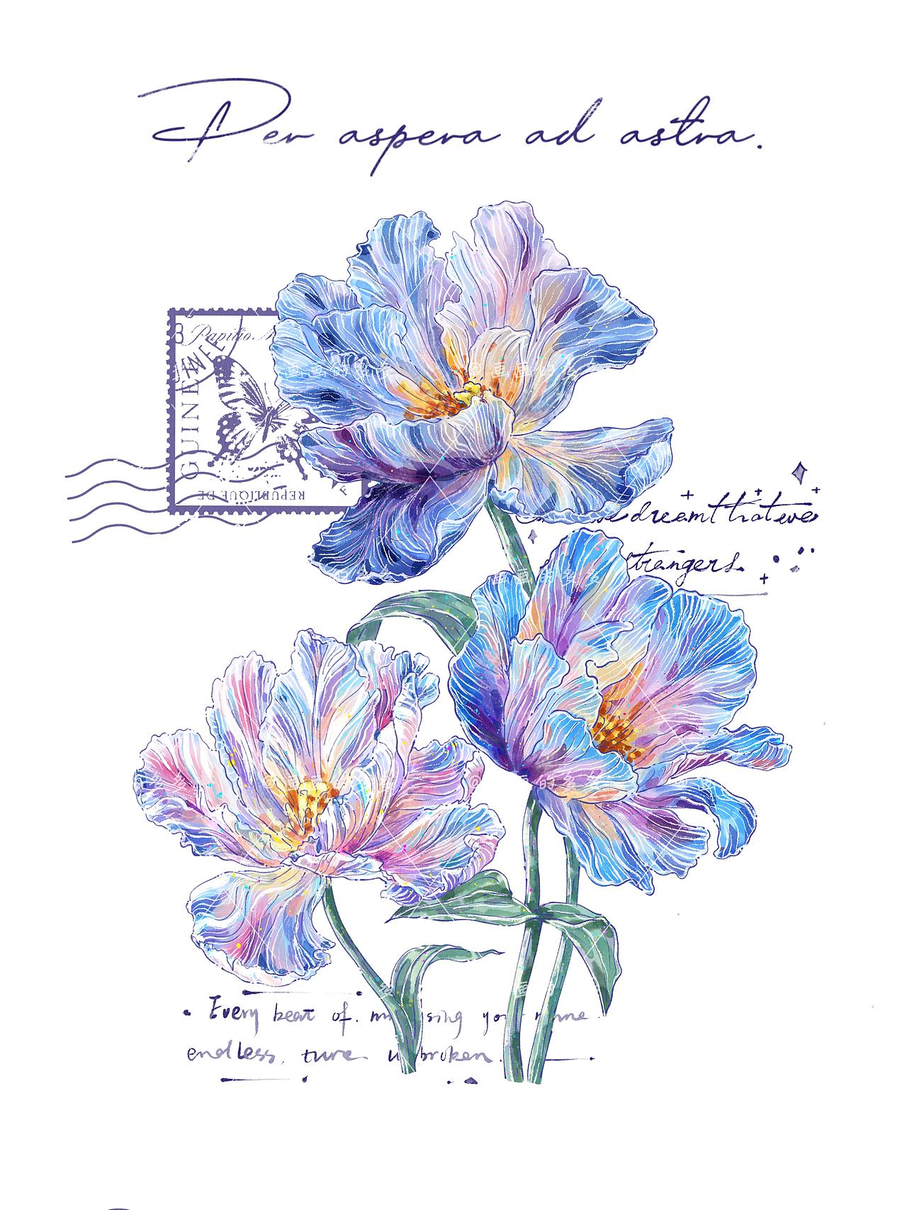 治愈花笺系列（图ZNDA2Njg3NDEy） - 商业插画 - 站酷设计师插画师多多原创素材 - 站酷ZCOOL