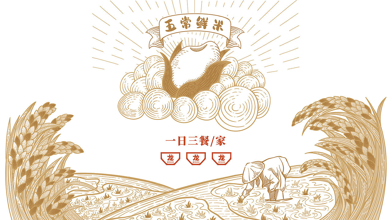 二山造物原创 × 龙 YOUNG 五常鲜米 农产品包装设计(图ZNDA2Njk4ODYw) - 包装 - 站酷设计师二山造物原创素材 - 站酷ZCOOL