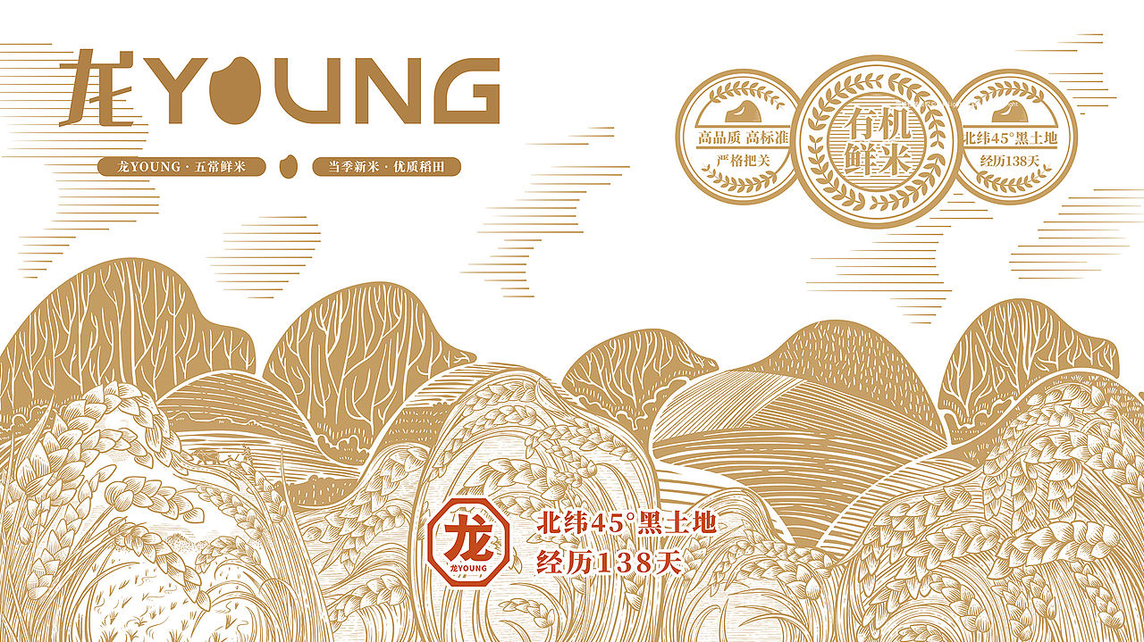 二山造物原创 × 龙 YOUNG 五常鲜米 农产品包装设计(图ZNDA2Njk4ODU2) - 包装 - 站酷设计师二山造物原创素材 - 站酷ZCOOL