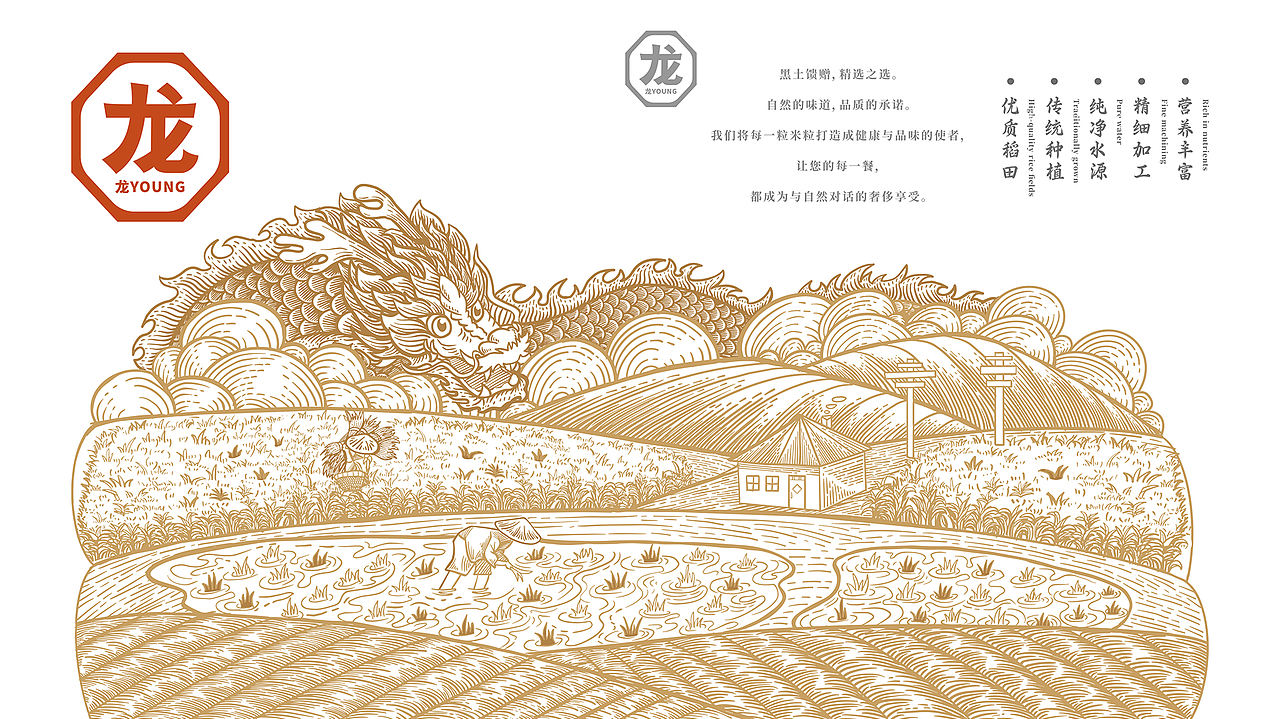 二山造物原创 × 龙 YOUNG 五常鲜米 农产品包装设计(图ZNDA2Njk4ODY0) - 包装 - 站酷设计师二山造物原创素材 - 站酷ZCOOL