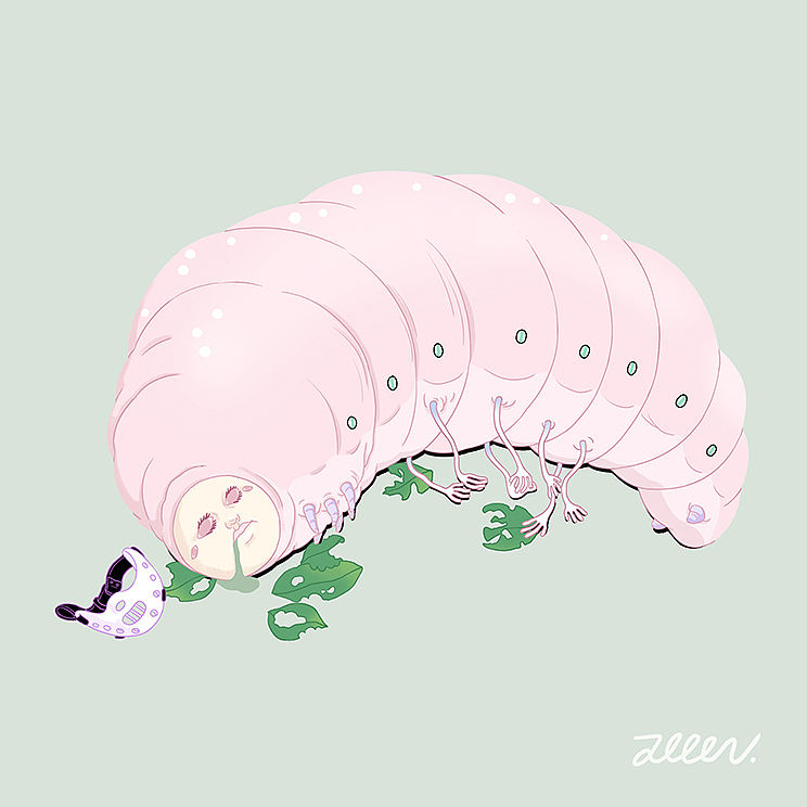 奇奇怪怪动物集（图ZNDA2NzI2NjA4） - 艺术插画 - 站酷设计师圆圆的普子原创素材 - 站酷ZCOOL