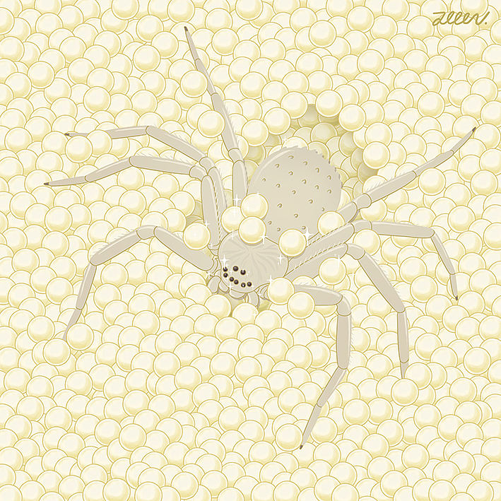 奇奇怪怪动物集（图ZNDA2NzI2NjYw） - 艺术插画 - 站酷设计师圆圆的普子原创素材 - 站酷ZCOOL
