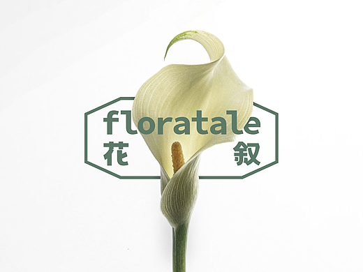 花植品牌｜floratale 花叙（个人主页-ZNzM1ODE2Njg=） - 品牌 - 站酷设计师补光式Studio原创素材 - 站酷ZCOOL
