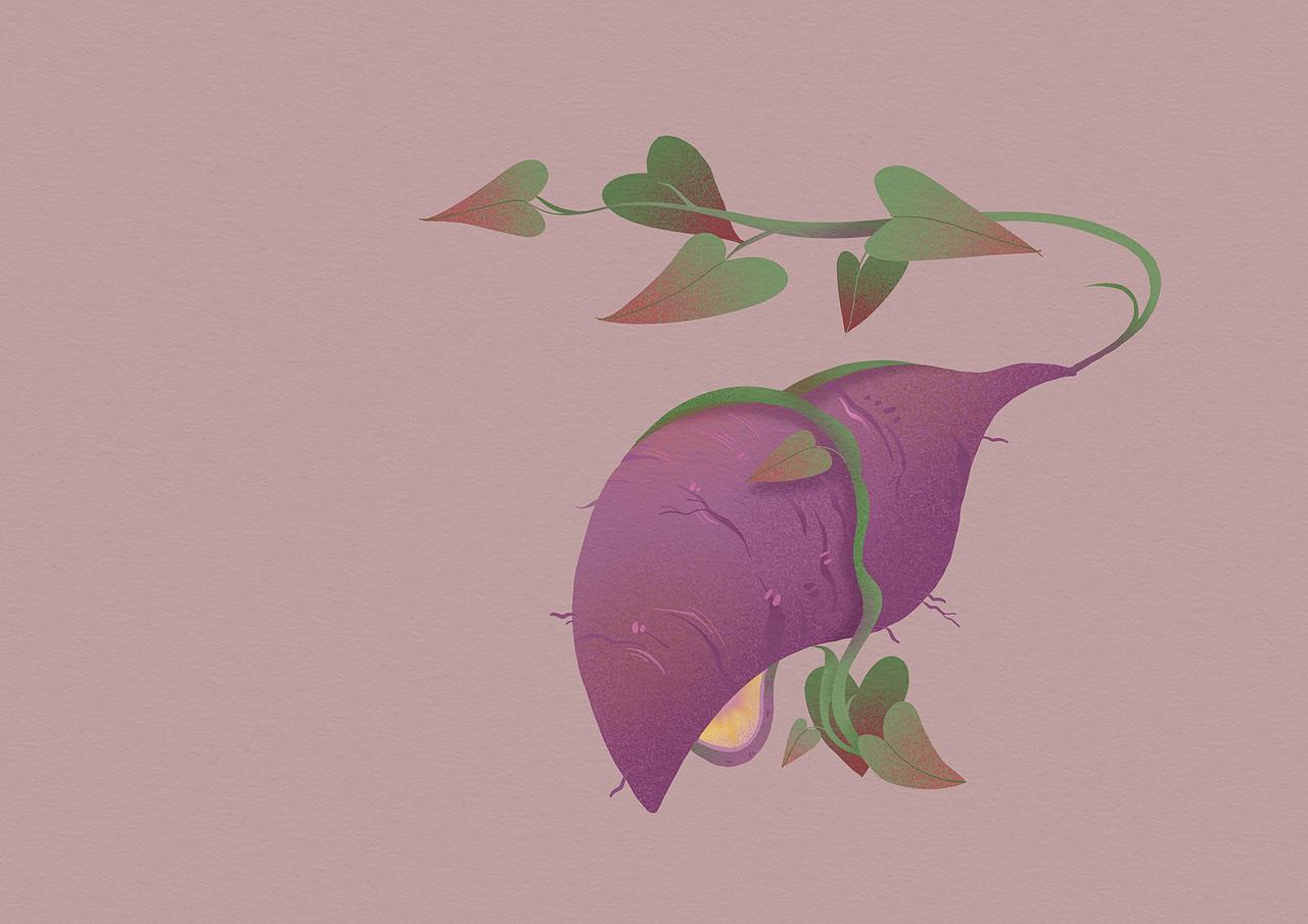 《身体植物园》/图案设计(图ZNDA2NzQ0OTY0) - 图案 - 站酷设计师厌麦粥原创素材 - 站酷ZCOOL