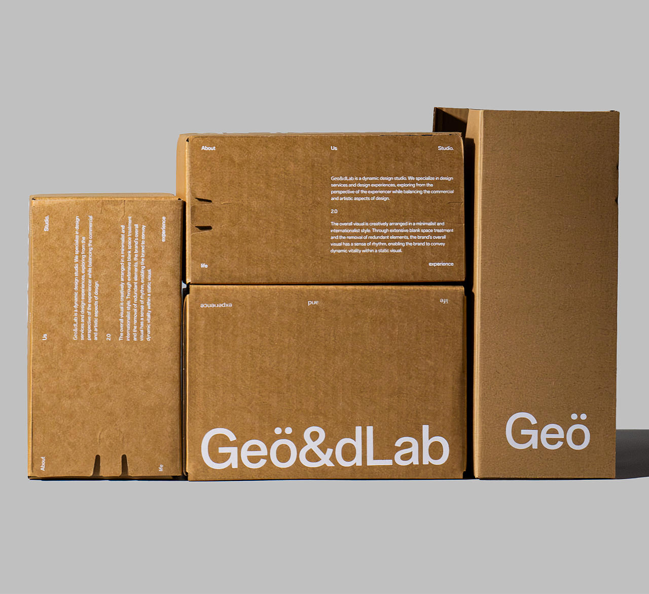 2026 Geo&dLab 2.0 品牌升级- Studio Brand Upgrade(图ZNDA2ODM1OTc2) - 品牌 - 站酷设计师几何视觉实验室原创素材 - 站酷ZCOOL
