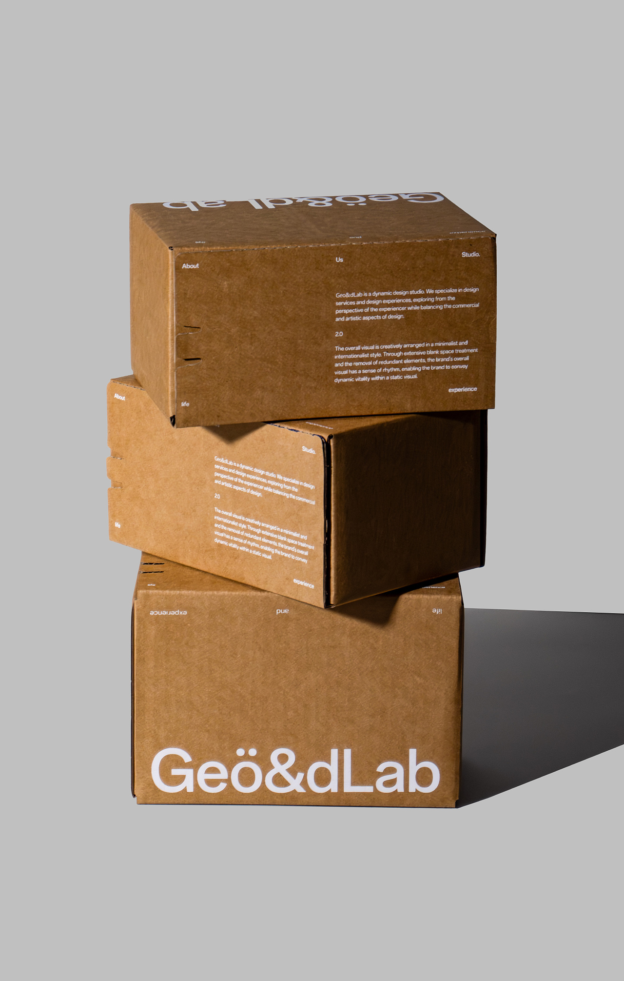 2026 Geo&dLab 2.0 品牌升级- Studio Brand Upgrade（图ZNDA2ODM1OTgw） - 品牌 - 站酷设计师几何视觉实验室原创素材 - 站酷ZCOOL