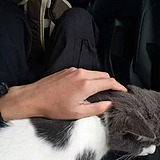wink咖啡不醒人的头像