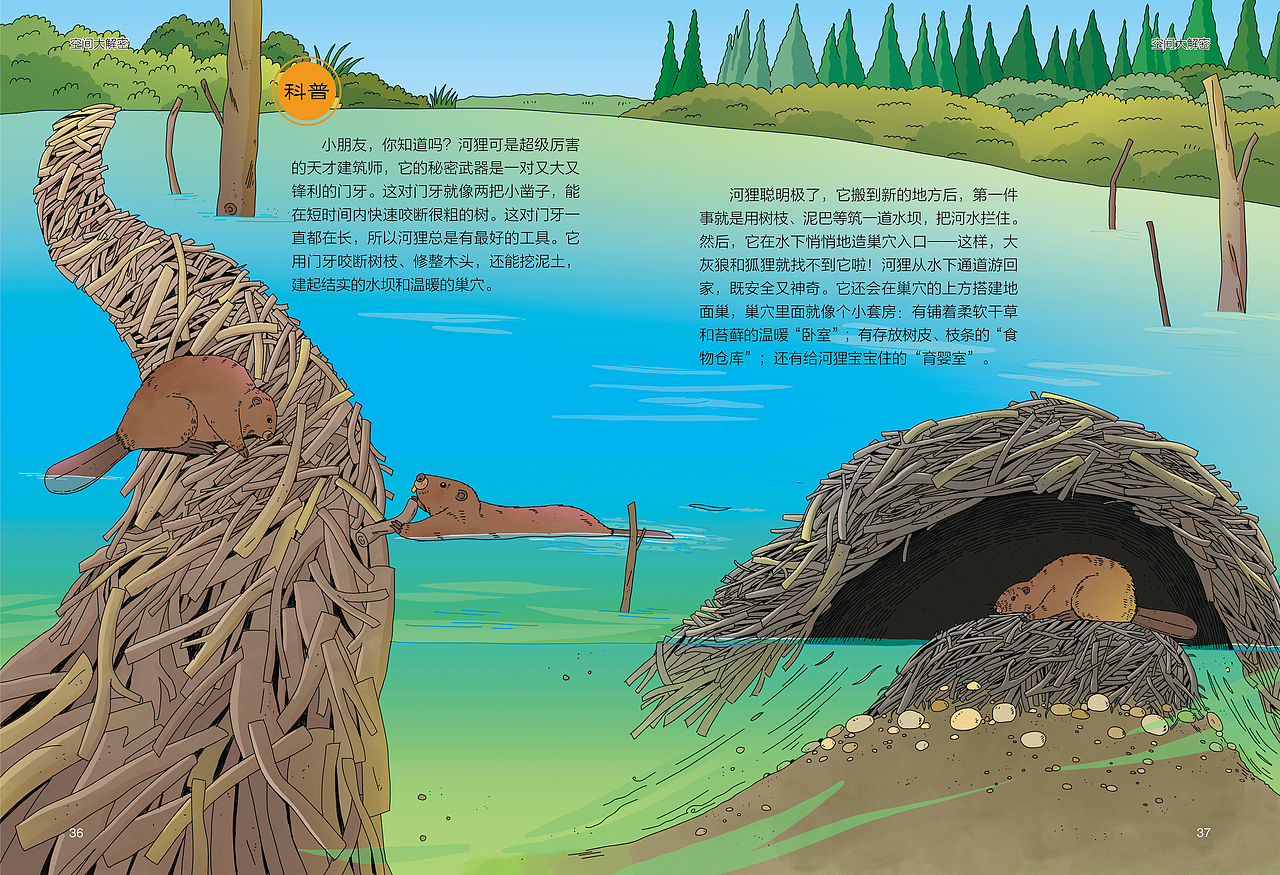 杂志《大美星球》科普插画3（图ZNDA2OTkyNTAw） - 商业插画 - 站酷设计师阿悠吃了没原创素材 - 站酷ZCOOL