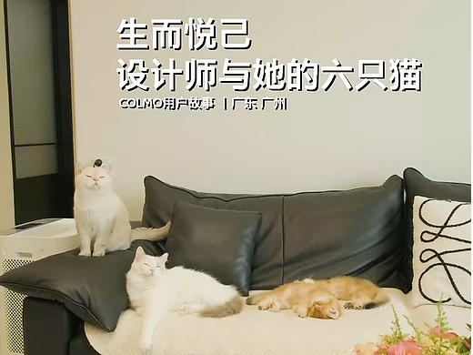 『视频』生而悦已 设计师与六只猫COLMO用户故事|广州