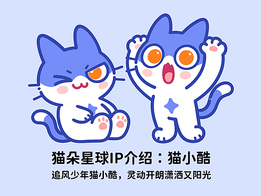 猫小酷