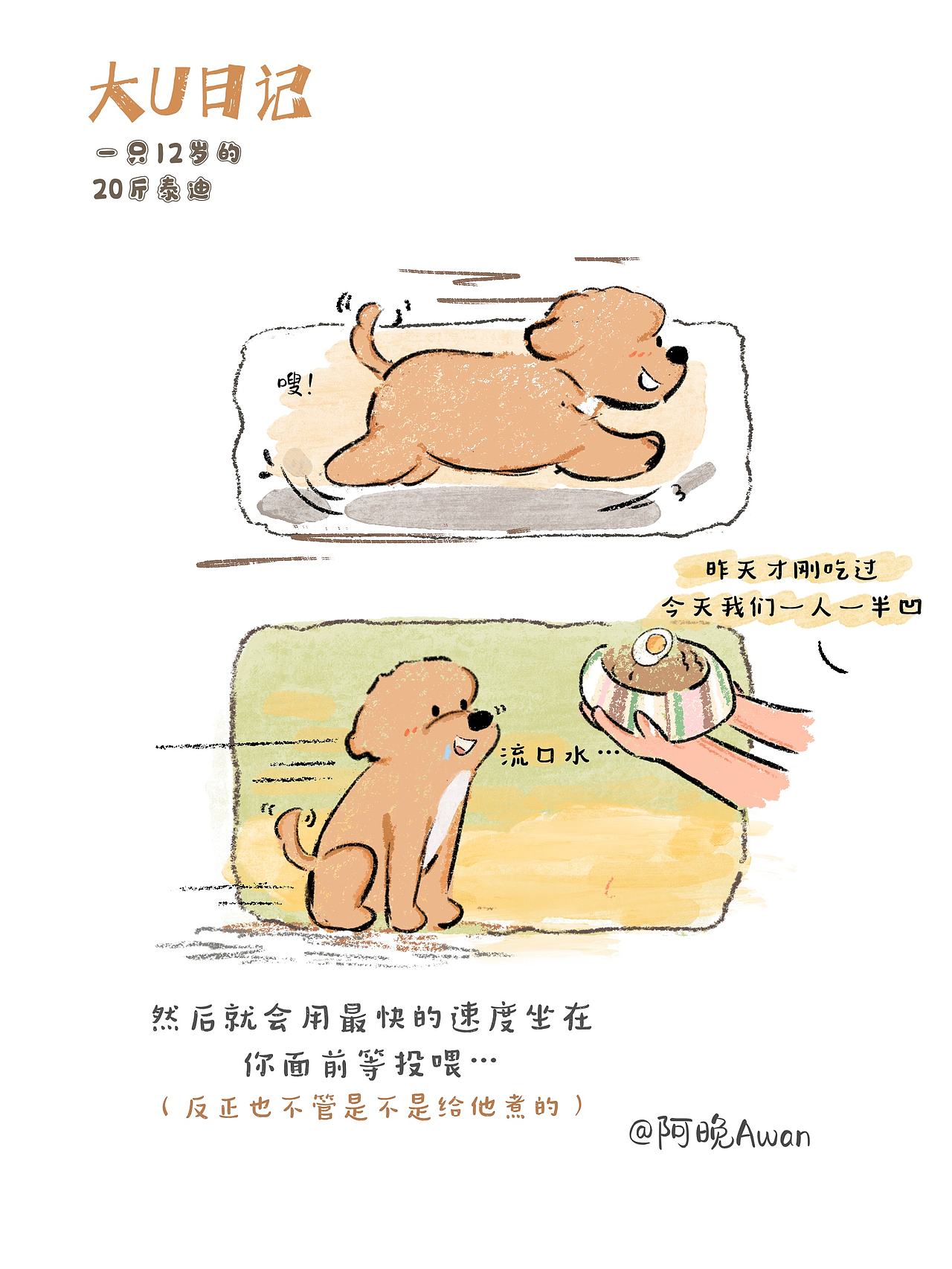 我的鸡蛋搭子（图ZNDA3MDczNDIw） - 创作习作 - 站酷设计师阿晚插画Awan原创素材 - 站酷ZCOOL