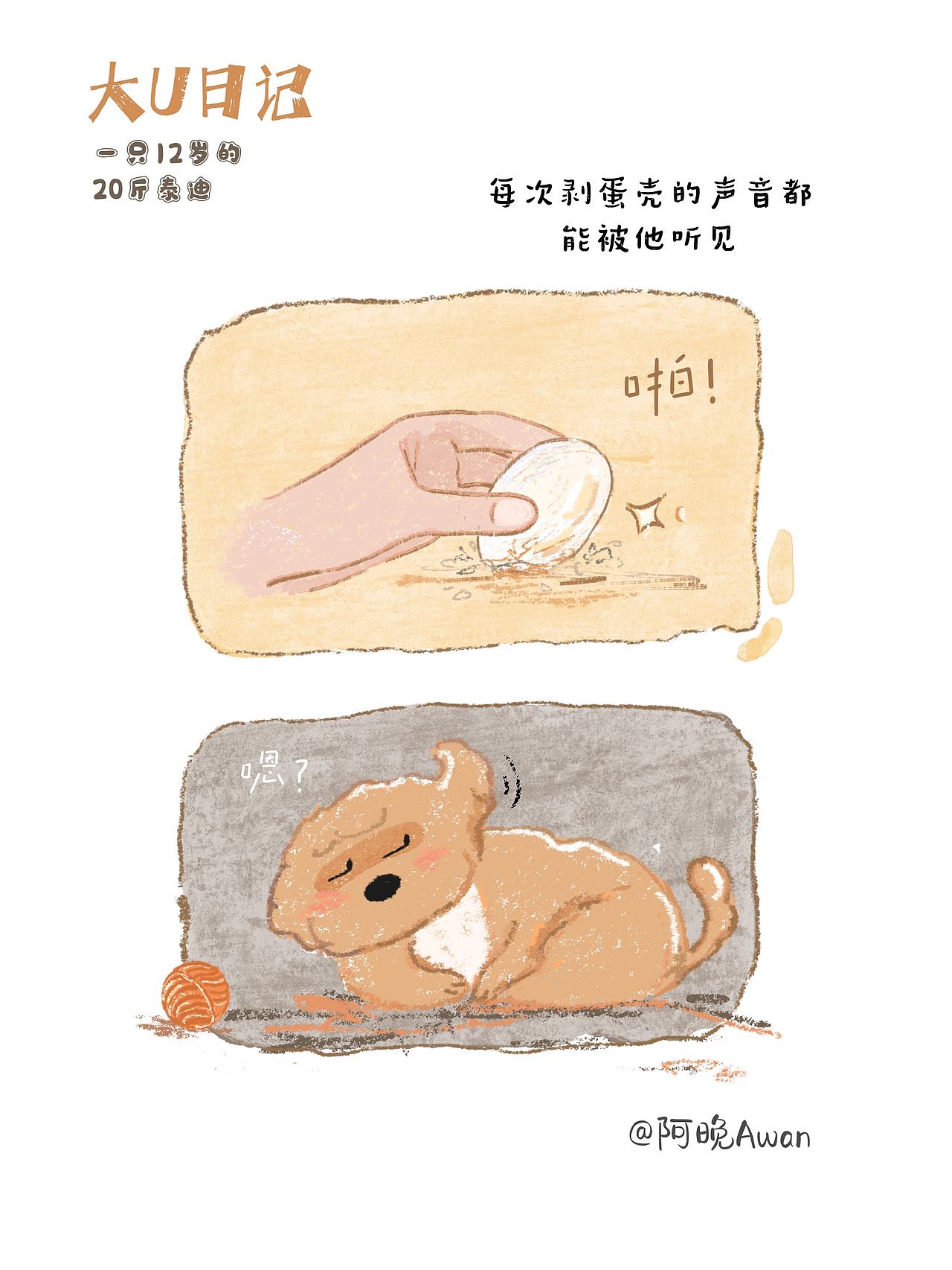 我的鸡蛋搭子（图ZNDA3MDczNDE2） - 创作习作 - 站酷设计师阿晚插画Awan原创素材 - 站酷ZCOOL