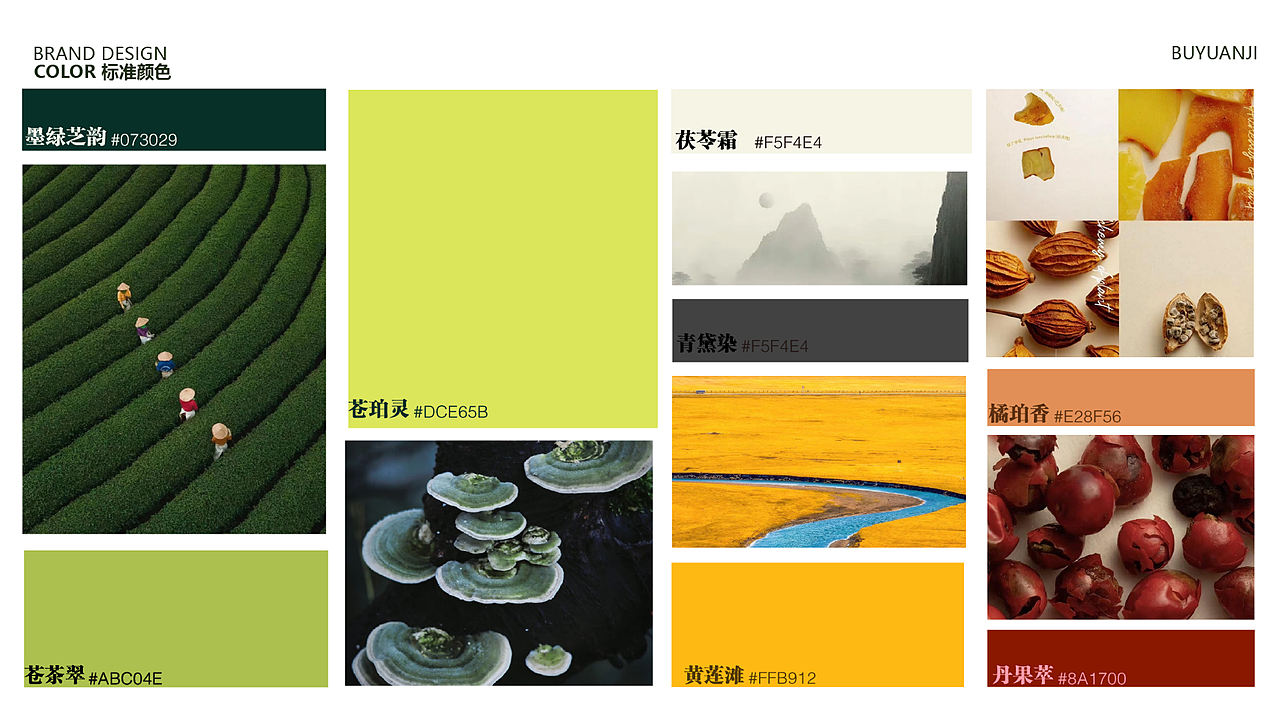 新中式饮品品牌设计《补元集》（图ZNDA3MDc5NTg4） - 品牌 - 站酷设计师Lsyyyyy3原创素材 - 站酷ZCOOL
