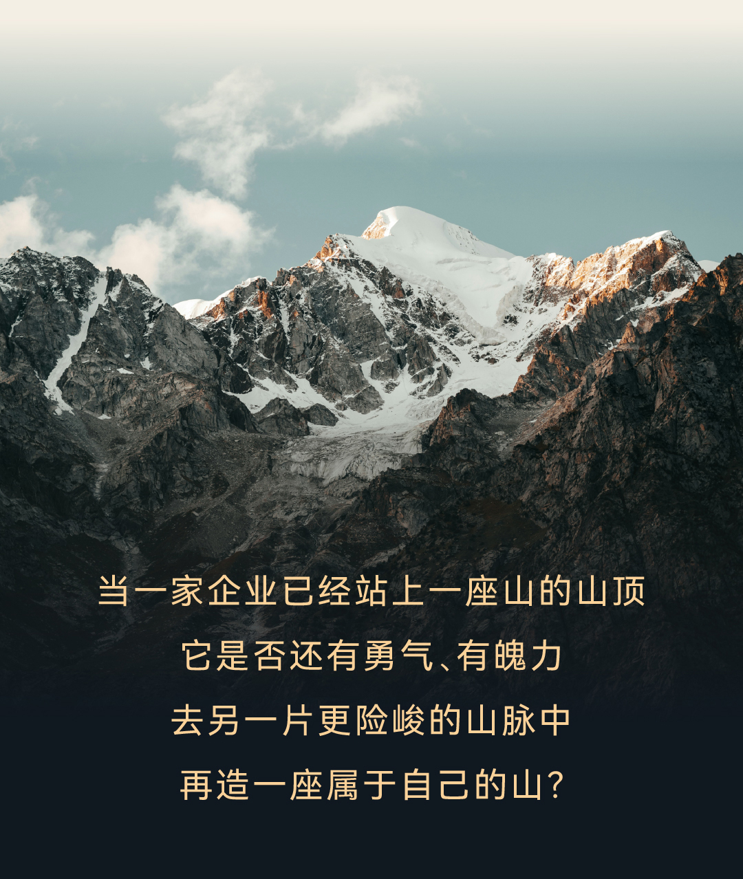 传奇精灵 x 瑞德设计|源飞宠物,在猫主粮赛道造一座山(图ZMTU2MTA2MDQ=) - 观点 - 站酷设计师瑞德设计股份原创素材 - 站酷ZCOOL