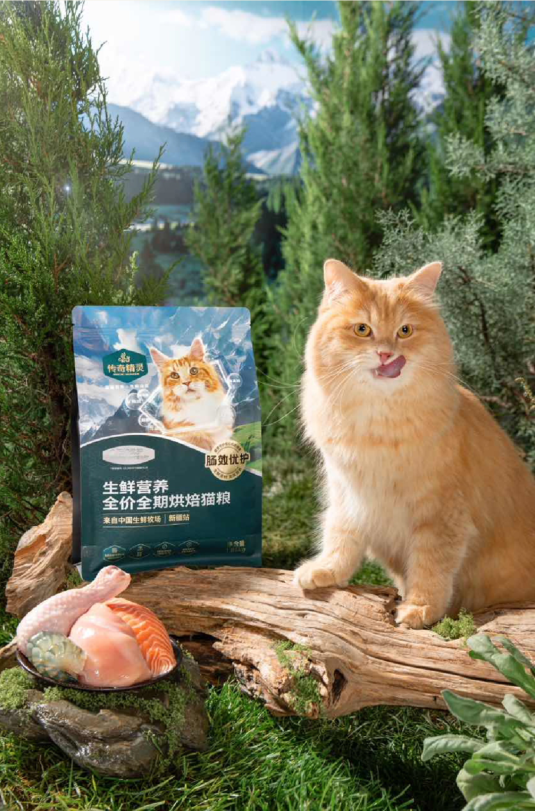 传奇精灵 x 瑞德设计|源飞宠物,在猫主粮赛道造一座山(图ZMTU2MTA3MzY=) - 观点 - 站酷设计师瑞德设计股份原创素材 - 站酷ZCOOL