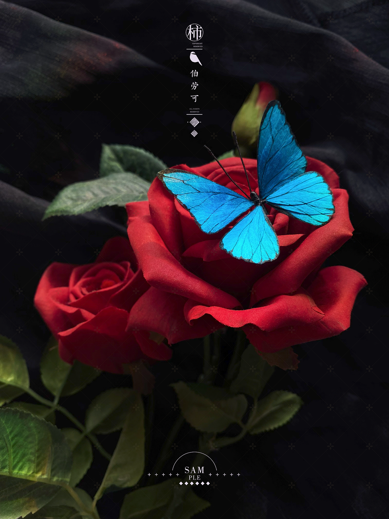 BLO｜商拍｜非遗绒花（图ZNDA3MjQyMzUy） - 产品摄影 - 站酷设计师伯劳可原创素材 - 站酷ZCOOL