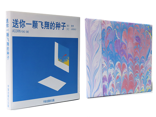 送你一颗飞翔的种子