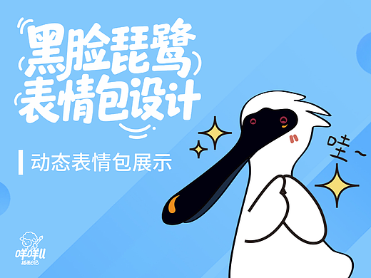 用24个动态瞬间，还原“鸟中大熊猫”的呆萌时刻