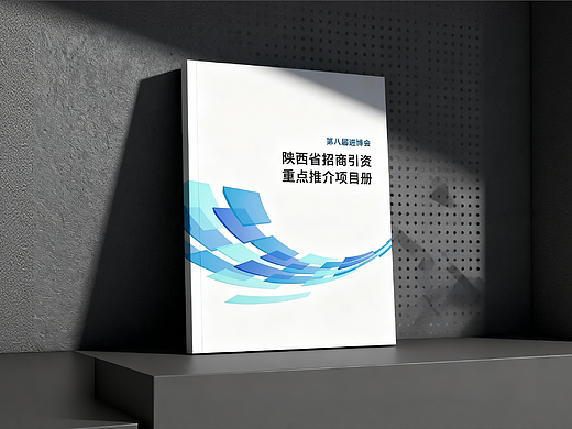 政府招商画册设计-深圳VI设计-深圳画册设计-智睿品牌