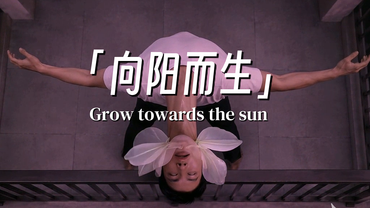 微恐短片「向阳而生」（图ZNDA3NTQ1OTI4） - 短片 - 站酷设计师云柚柚ovo原创素材 - 站酷ZCOOL