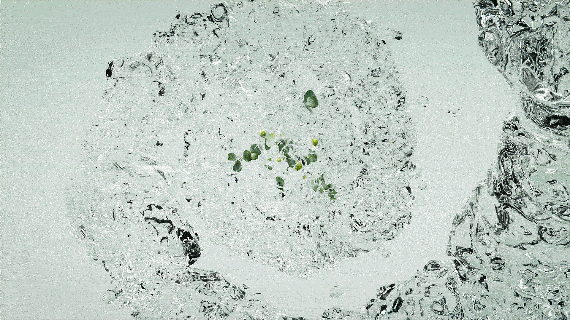 洗澡肥皂植物水玻璃动态渲染（图ZNDA3NTY1NDU2） - 产品 - 站酷设计师AO_Viz原创素材 - 站酷ZCOOL