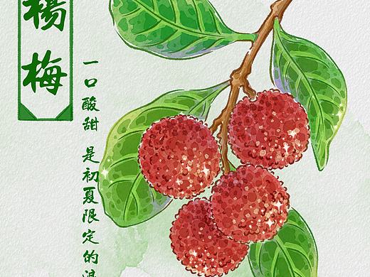 杨梅/一口酸甜 初夏的限定浪漫