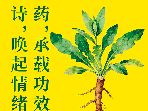 中药展览设计｜选题之前，我们先做了判断