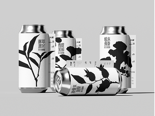 贵州兴湄风味啤酒包装设计