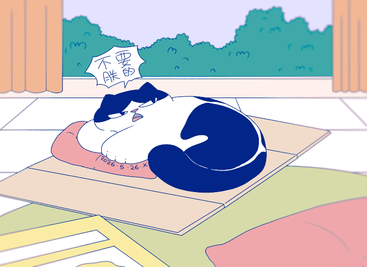 猫咪日常｜2026.5月合集（图ZNDA3NzI1NDQw） - 创作习作 - 站酷设计师蟹味喵酱原创素材 - 站酷ZCOOL